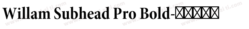 Willam Subhead Pro Bold字体转换